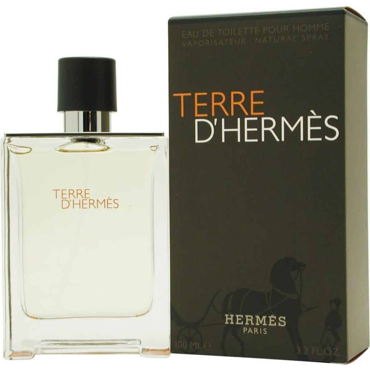 Hermes Terre Eau De Toilette 100 ml for Men