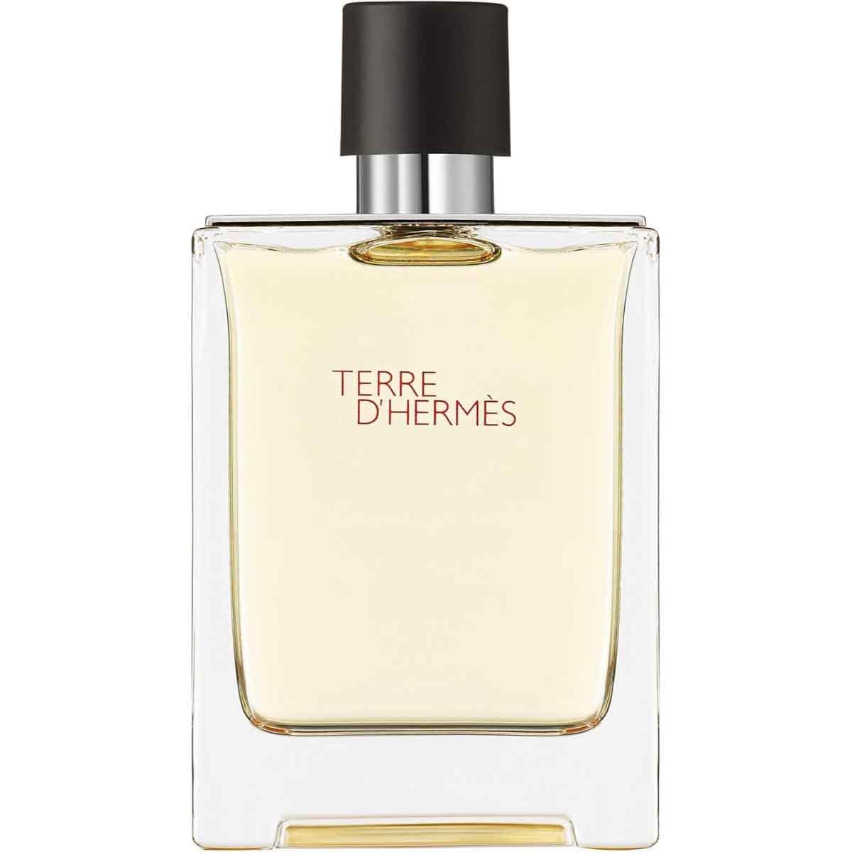 Hermes Terre Eau De Toilette for Men