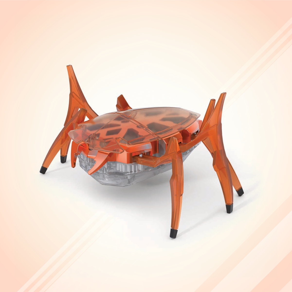 Hex Bots Rhino Beetle Assorted Interactive Toy Unisex, 5-7 Years