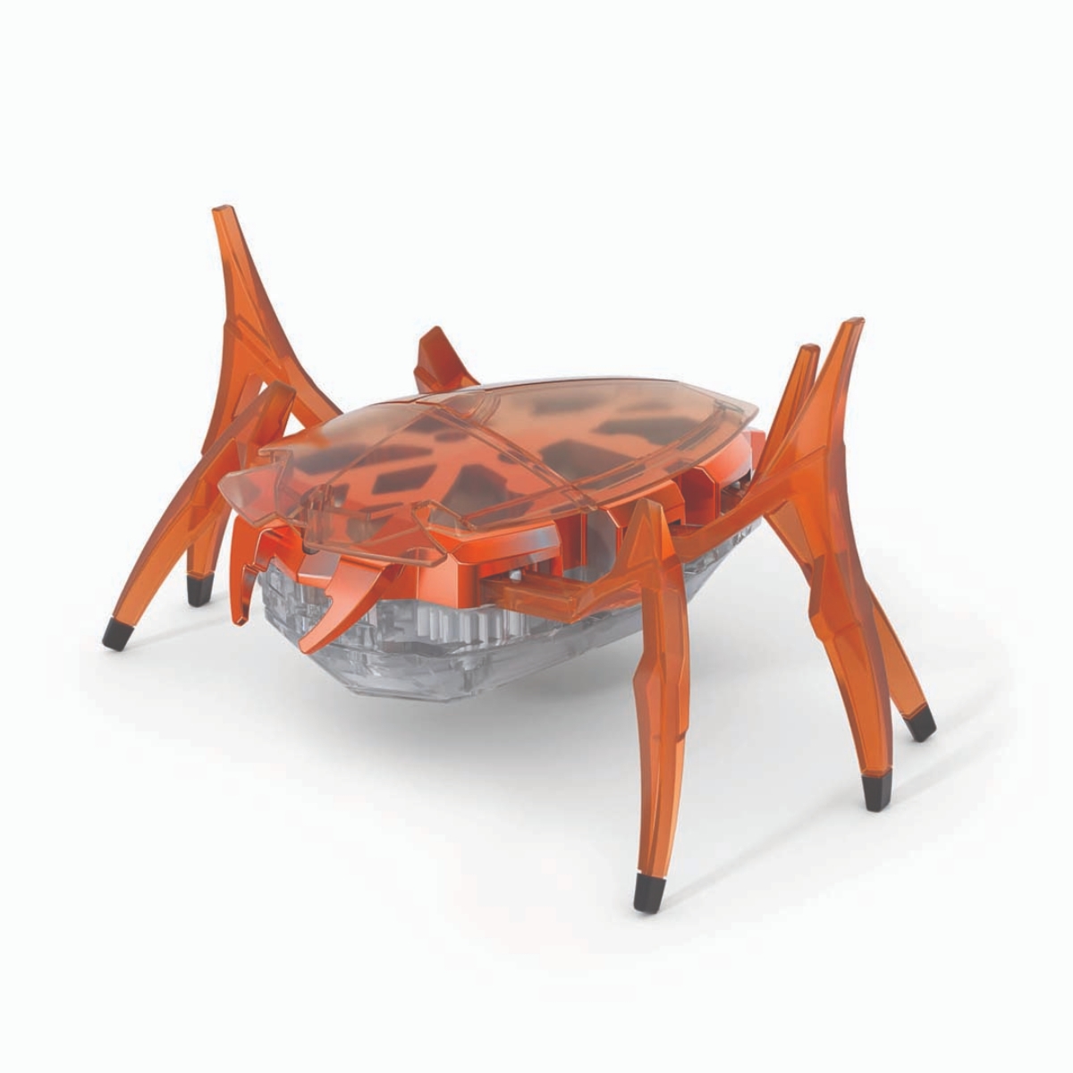 Hex Bots Rhino Beetle Assorted Interactive Toy Unisex, 5-7 Years