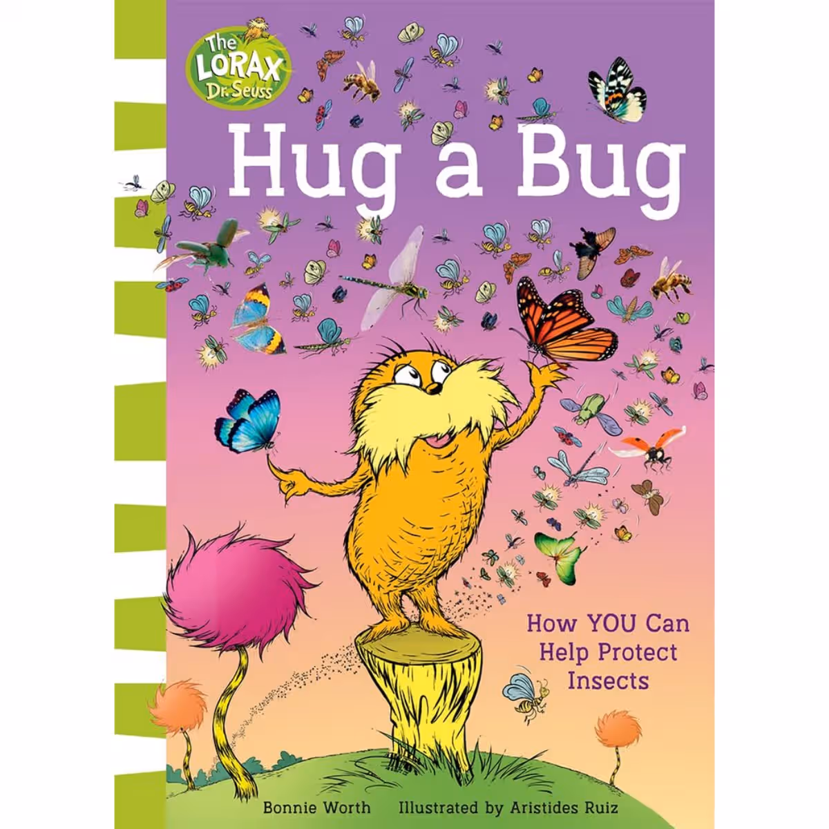 Hug a Bug: كيف يمكنك المساعدة في حماية الحشرات تأليف بوني وورث - 29 فبراير 2024