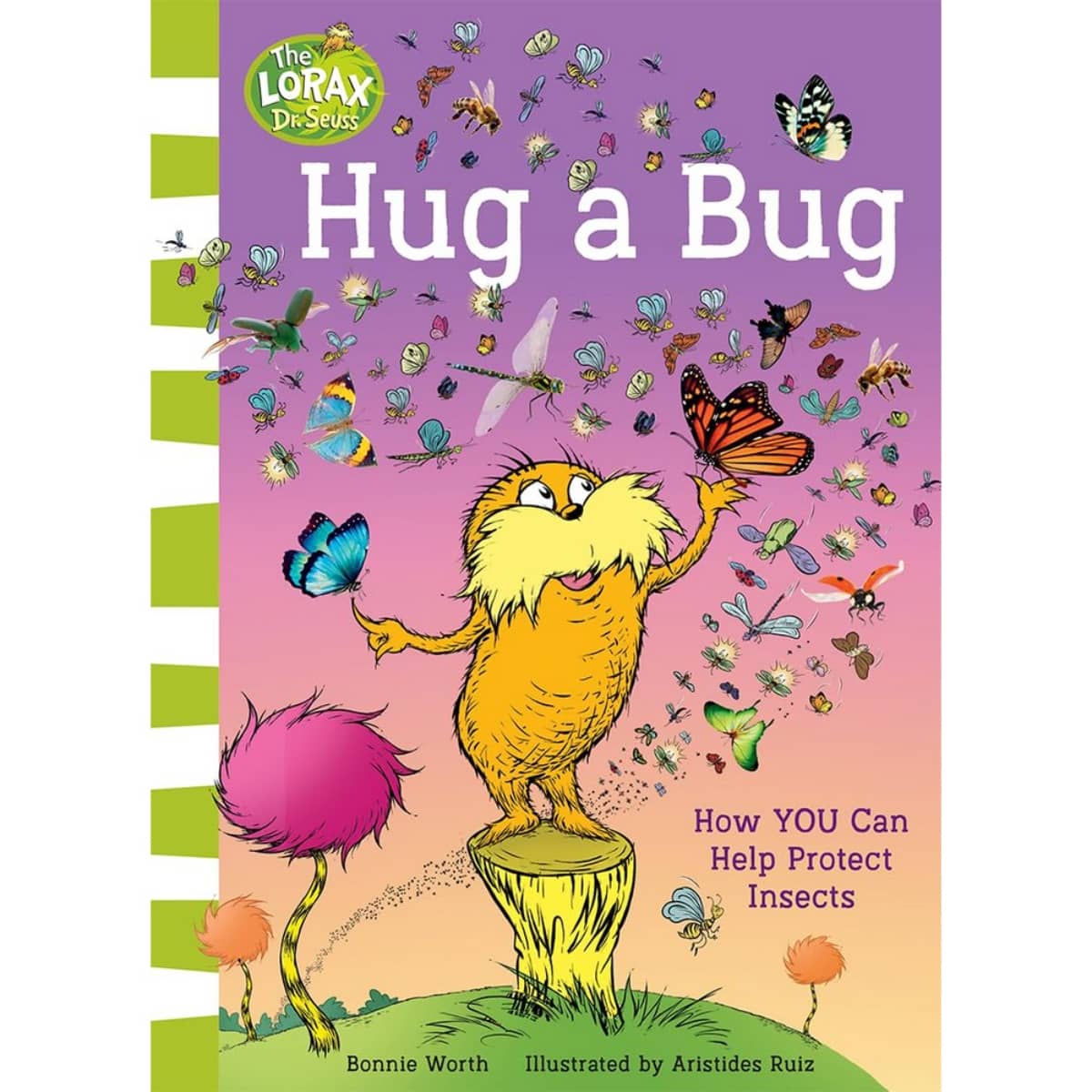 Hug a Bug: كيف يمكنك المساعدة في حماية الحشرات تأليف بوني وورث - 29 فبراير 2024