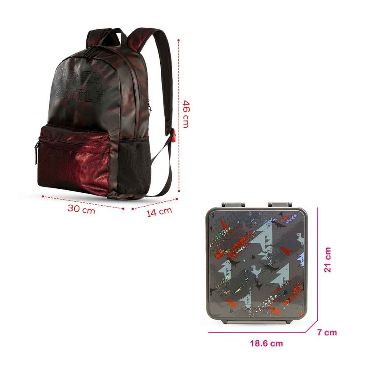 هيدروبرو حقيبة ظهر مقاس 18 إنش باللون البني مع صندوق غداء بنتو