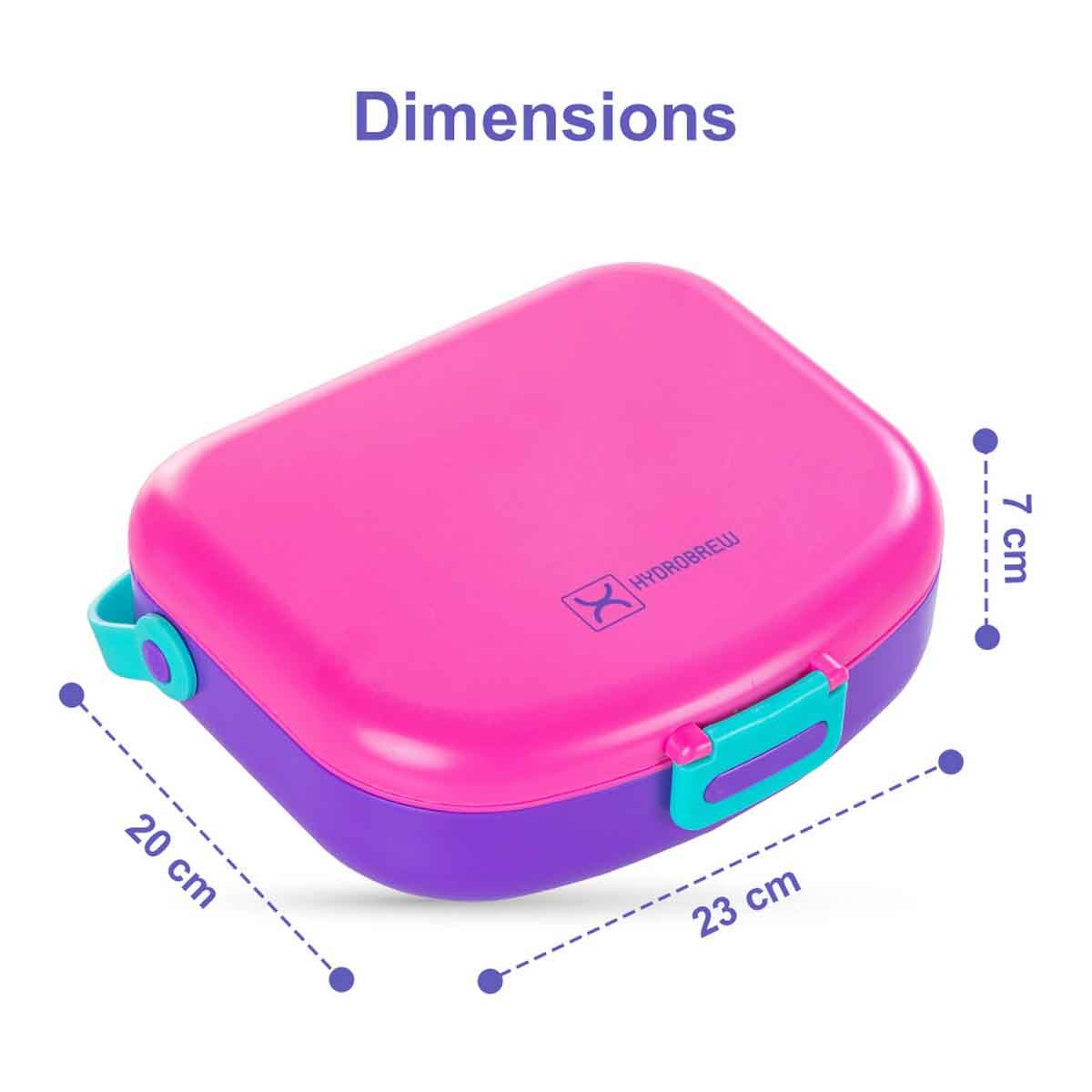 HYDROBREW Fuchsia 4-Compartment Bento Lunch Box with Spoon & Fork Set