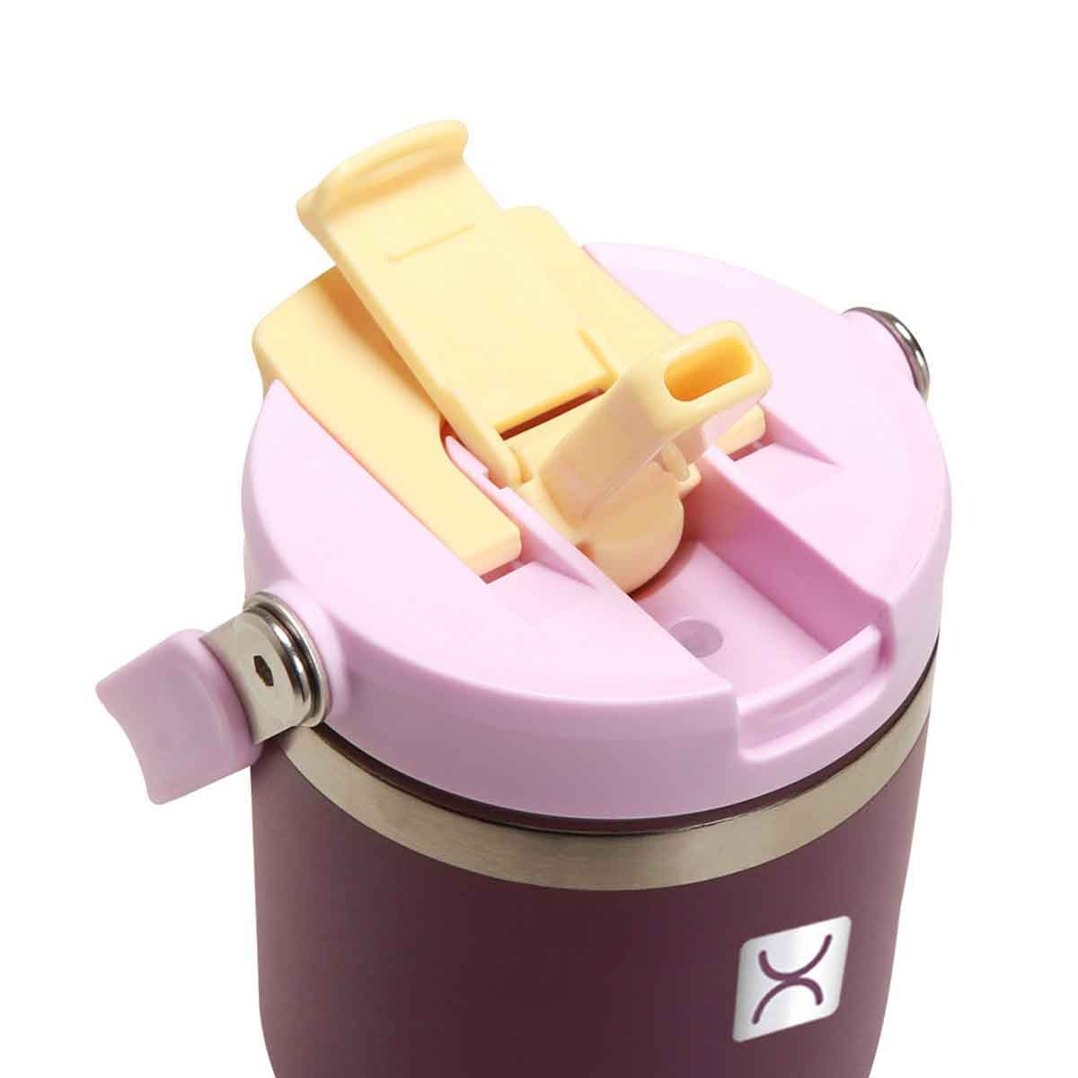 HYDROBREW Think Big Bento Lunch Box with Steel Water Bottle & Food Jar