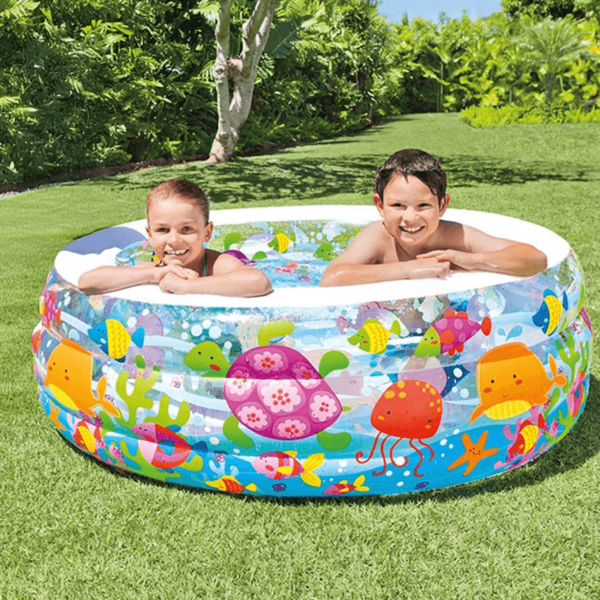 إنتكس مسبح أكواريوم متنوع للجنسين، 3-4 سنوات