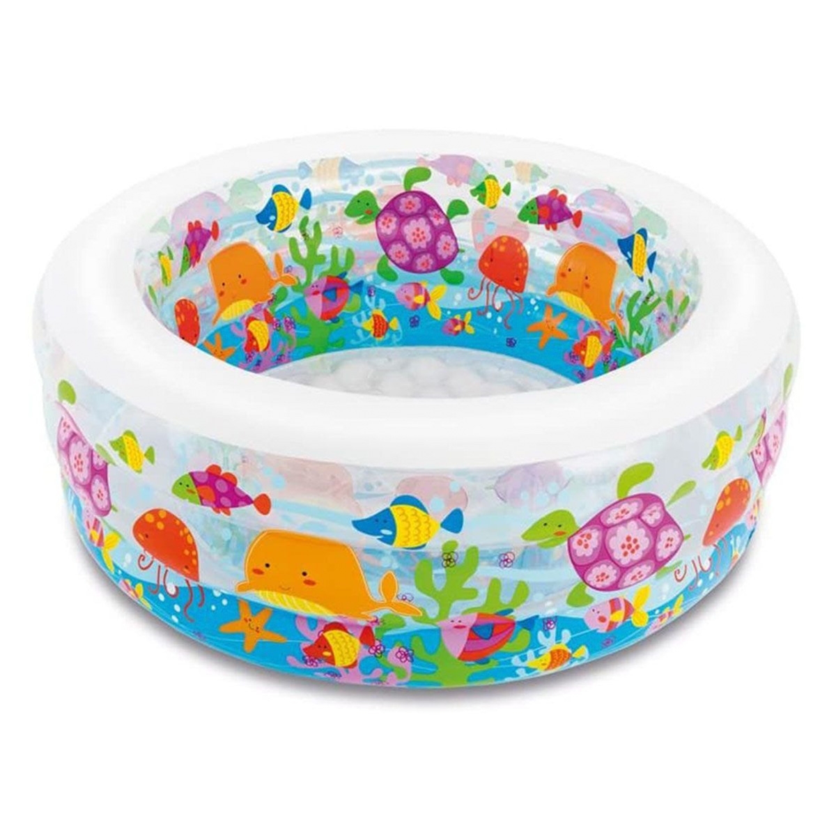 إنتكس مسبح أكواريوم متنوع للجنسين، 3-4 سنوات