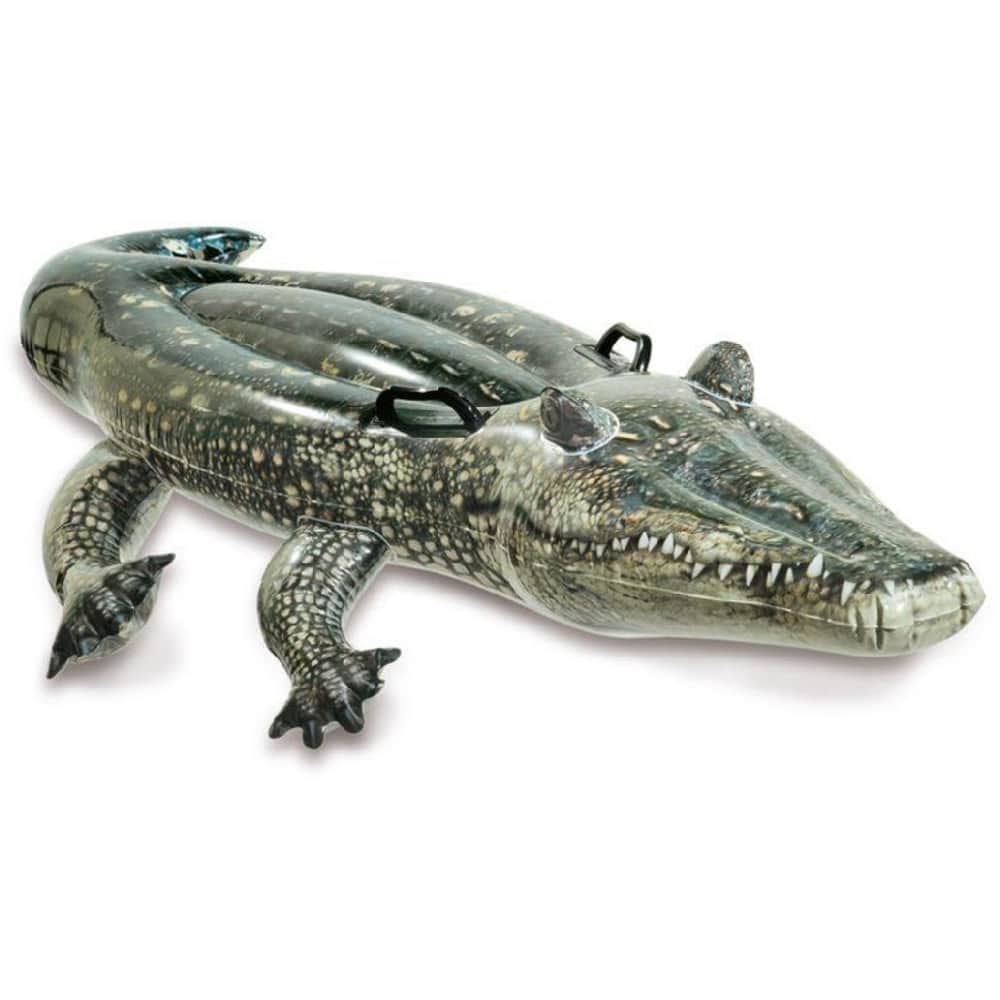 Intex Ride-On Realistic Gator Pool Float Unisex, 3-4 Years