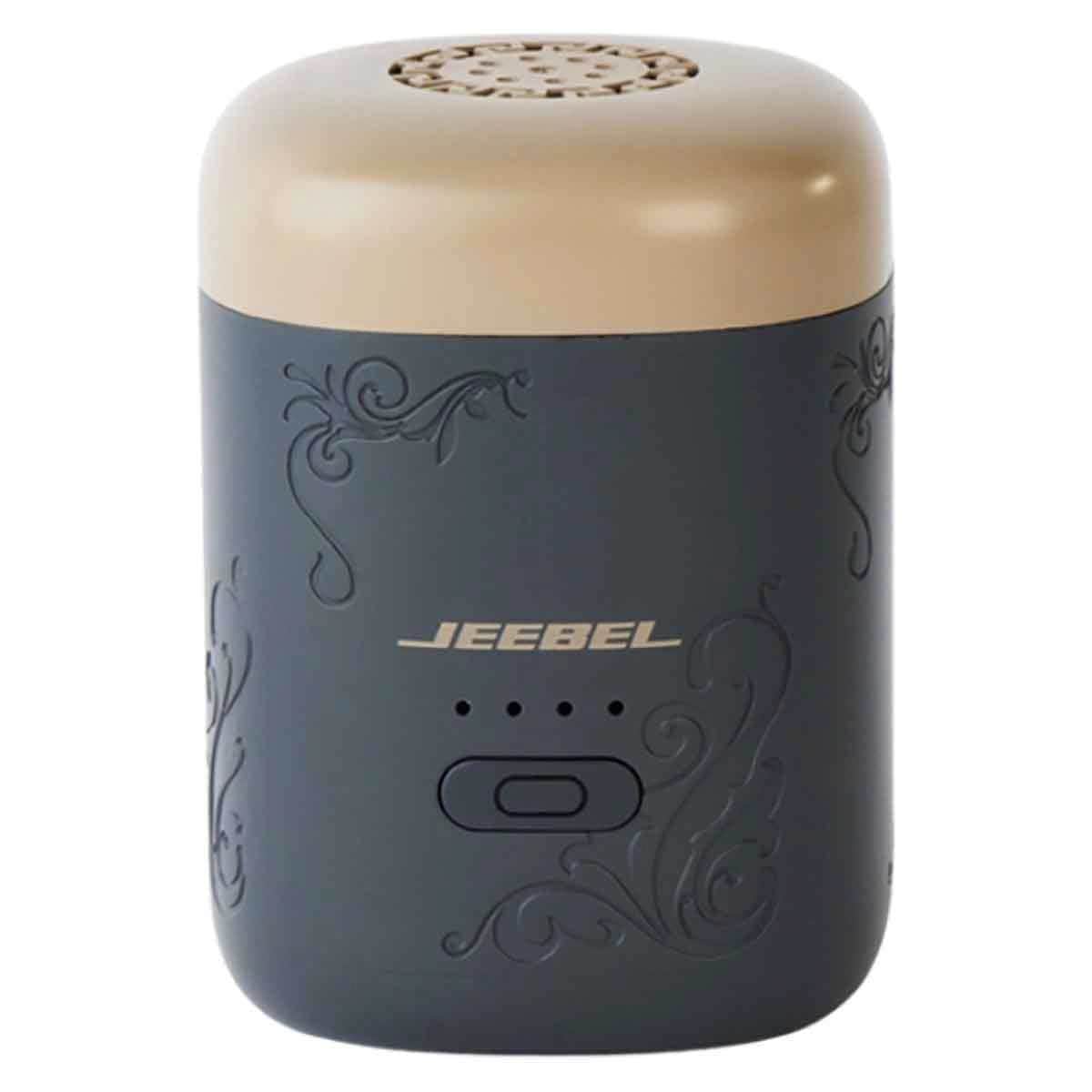Jeebel Incense Burner with Wireless Earbuds + USB-C Adapter + 4-in-1 Car Charger + USB-C to USB-C & USB to Lightning Charging Cable Bundle