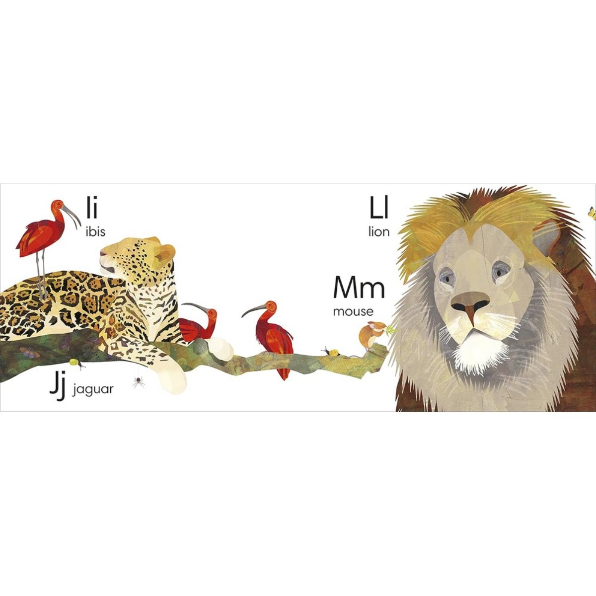 Jonny Lambert's Animal ABC with Big Flaps to Open: تأليف جوني لامبرت - 6 سبتمبر 2018