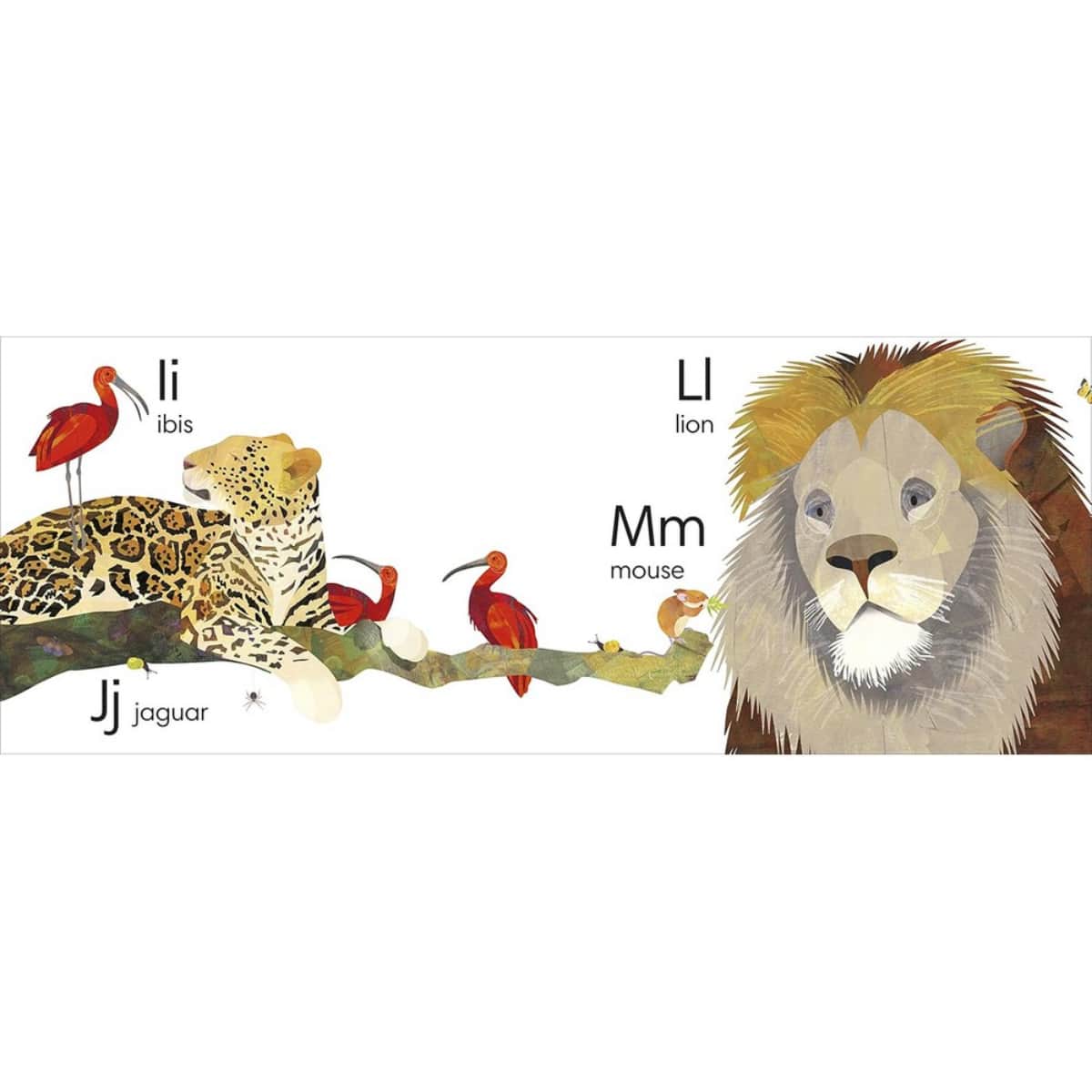 Jonny Lambert's Animal ABC with Big Flaps to Open: تأليف جوني لامبرت - 6 سبتمبر 2018
