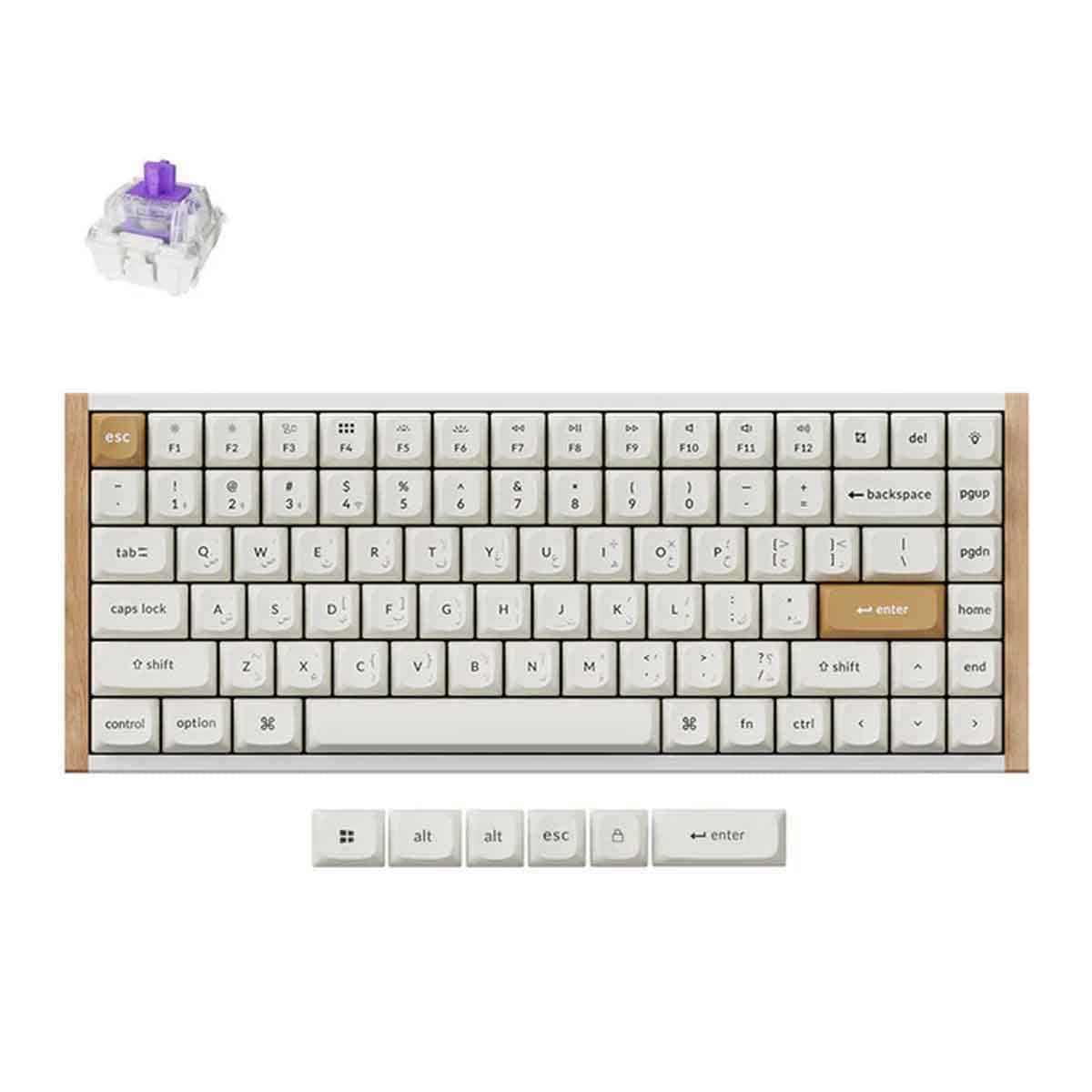 Keychron K2 HE 75% RGB Arabic Layout Special Edition Wireless Gaming Keyboard