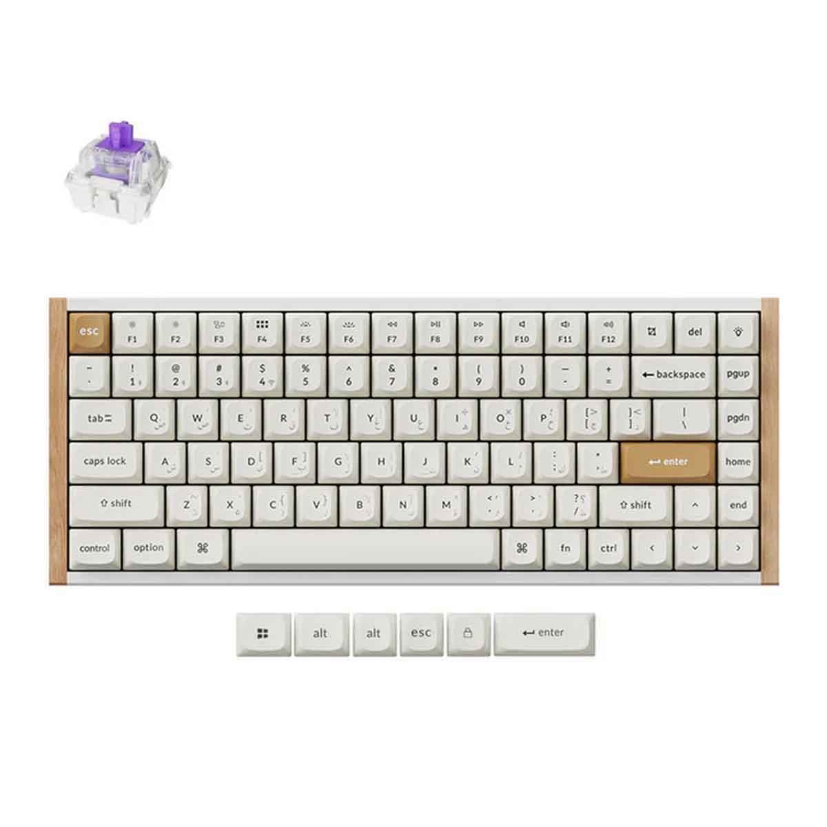 Keychron K2 HE 75% RGB Arabic Layout Special Edition Wireless Gaming Keyboard