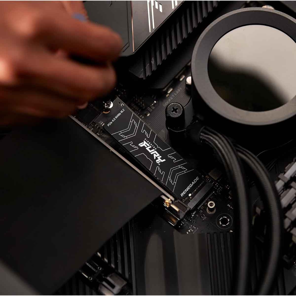 كينغستون قرص تخزين إس إس دي 1 تيرابايت فيوري رينيغيد بي سي آي إي 4.0 إن في إم إي