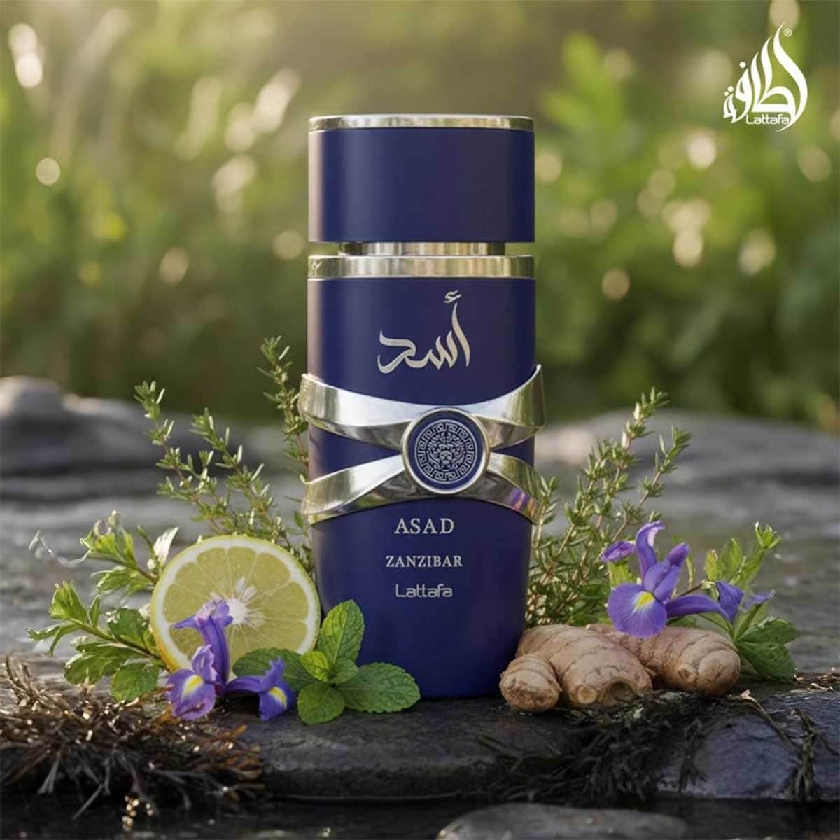 Lattafa Asad Zanzibar Eau De Parfum for Men