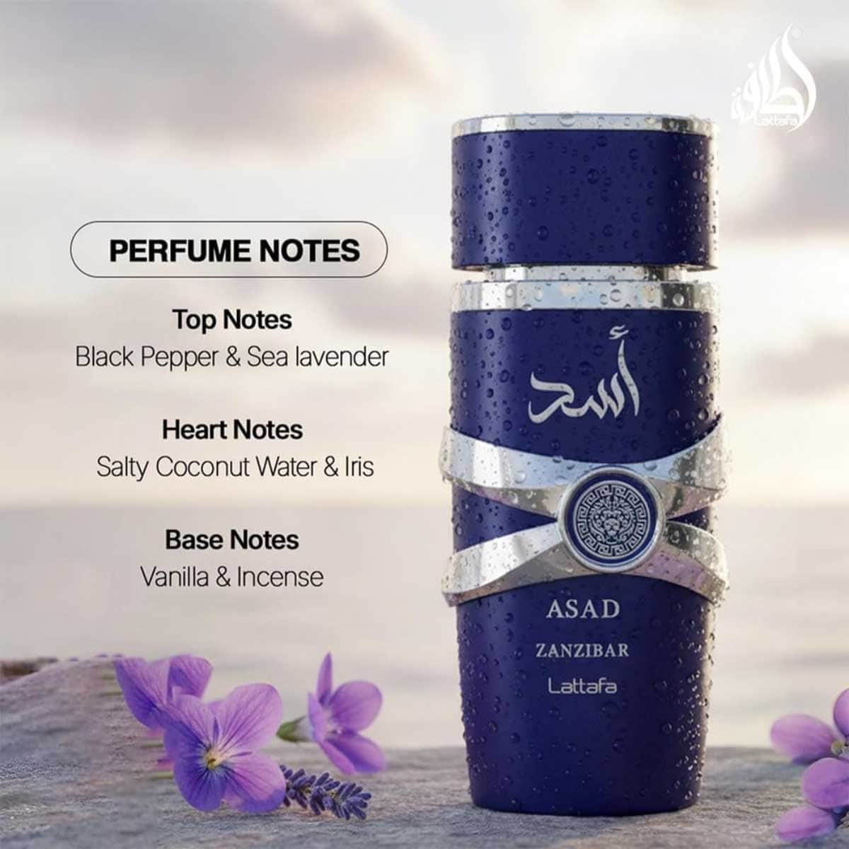Lattafa Asad Zanzibar Eau De Parfum for Men