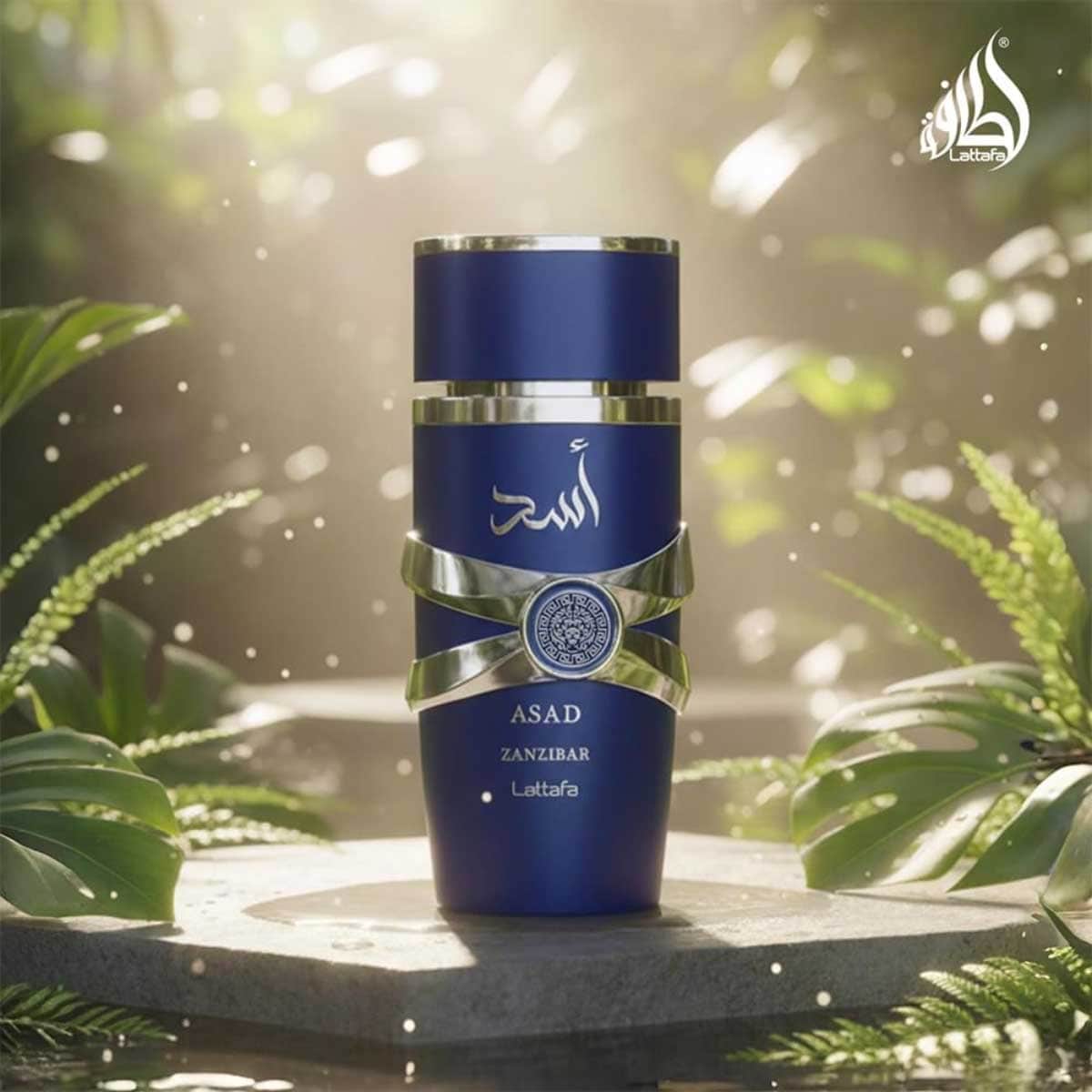 Lattafa Asad Zanzibar Eau De Parfum for Men