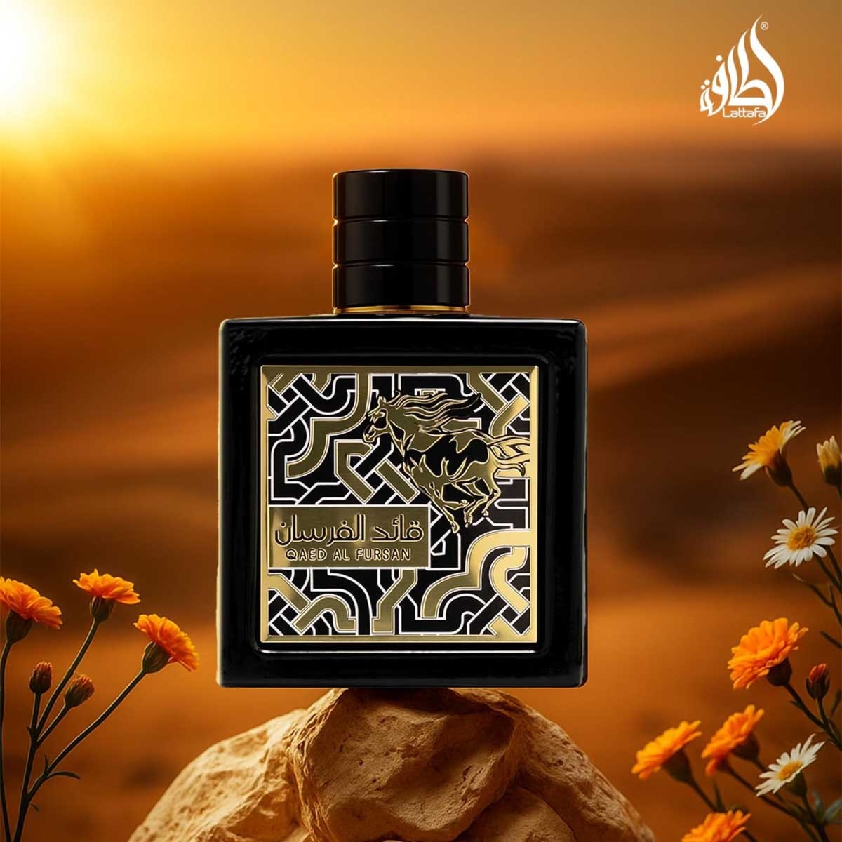 لطافة قائد الفرسان أو دو بارفان للرجال