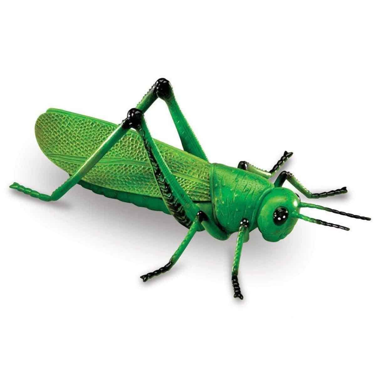 Learning Resources 7-Piece Jumbo Insect Set Unisex, 3-4 Years