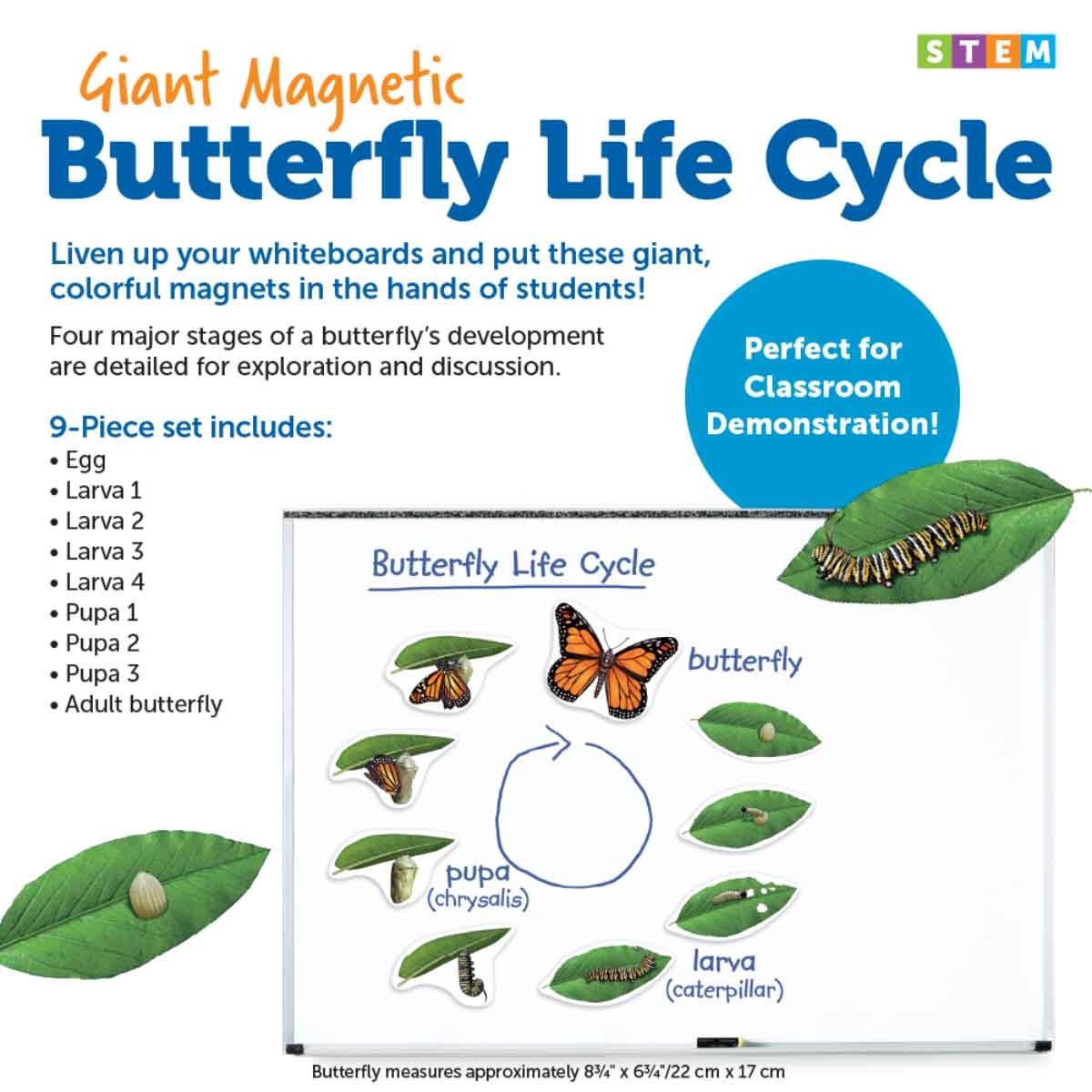 Learning Resources Giant Magnetic Butterfly Life Cycle Unisex, 5-7 Years