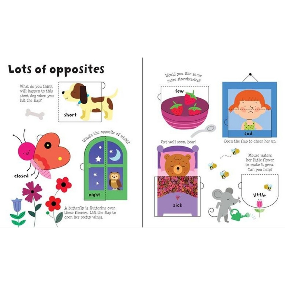 Lift-the-Flap : Opposites by Felicity Brooks - 1 Apr 2015