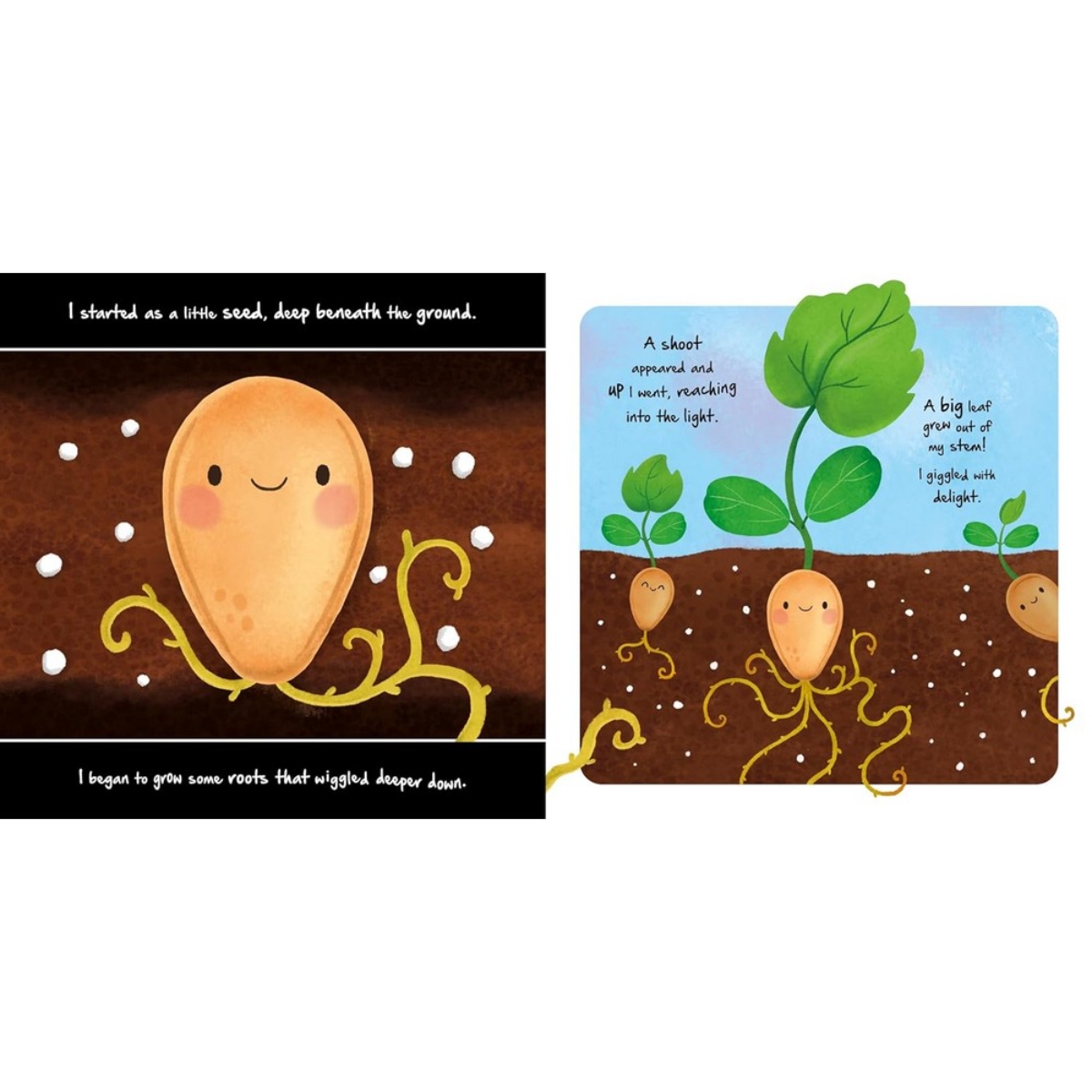 Little Pumpkin: قصة مصورة عن دورة حياة اليقطين تأليف أوتمن بابليشينج - 27 يونيو 2024