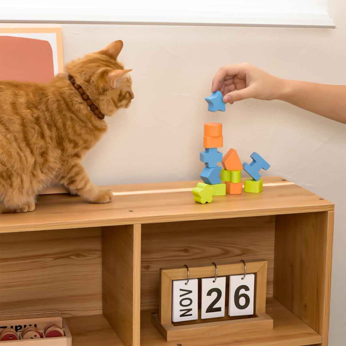 ليتل ستوري صندوق أنشطة خشبي 12 قطعة مونتيسوري للجنسين، 3–4 سنوات