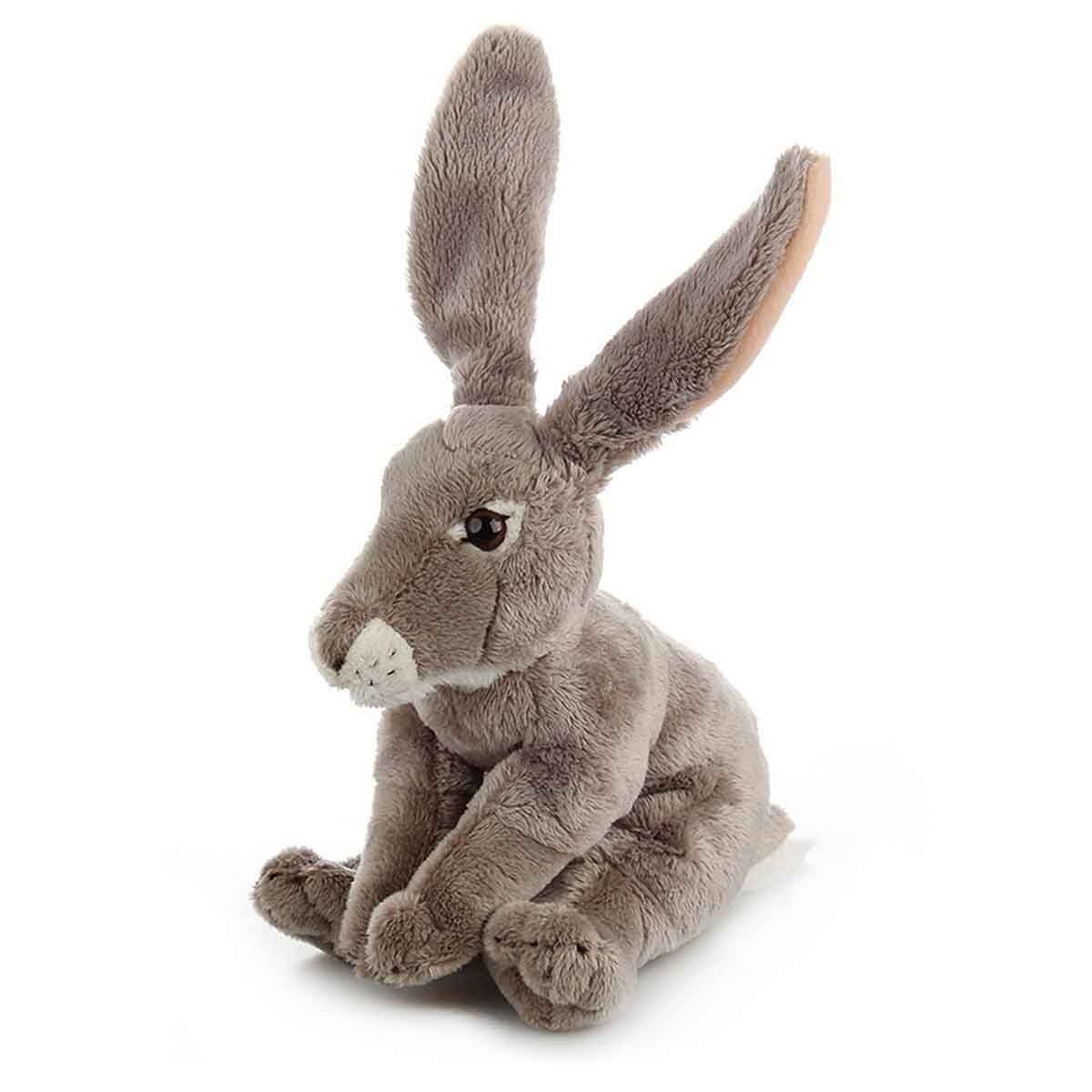 National Geographic 6" Premium Jack Rabbit Plush Toy Unisex, 3-4 Years