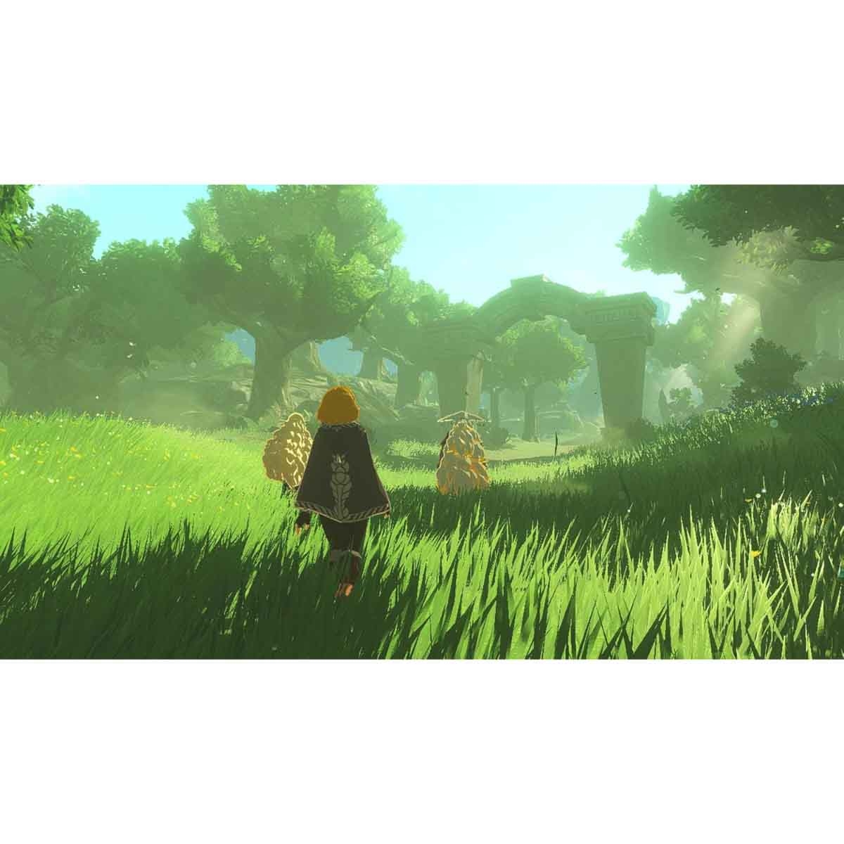 Nintendo Hyrule Warriors: Age of Imprisonment Video Game for Nintendo Switch 2