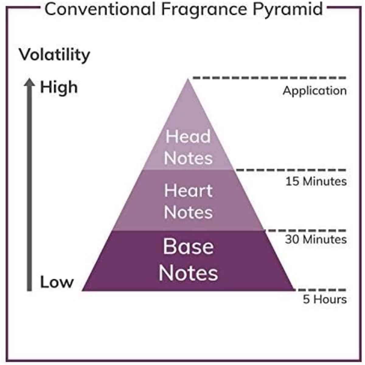 Parfums Lively Eau De Toilette for Men