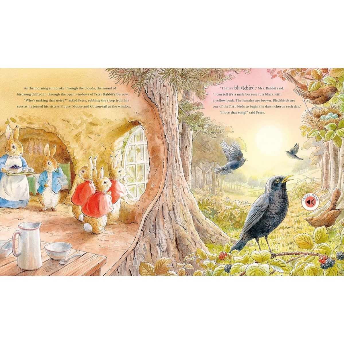 Peter Rabbit: جولة بيتر في الطبيعة: كتاب صوتي من تأليف بياتريكس بوتر - 9 فبراير 2023