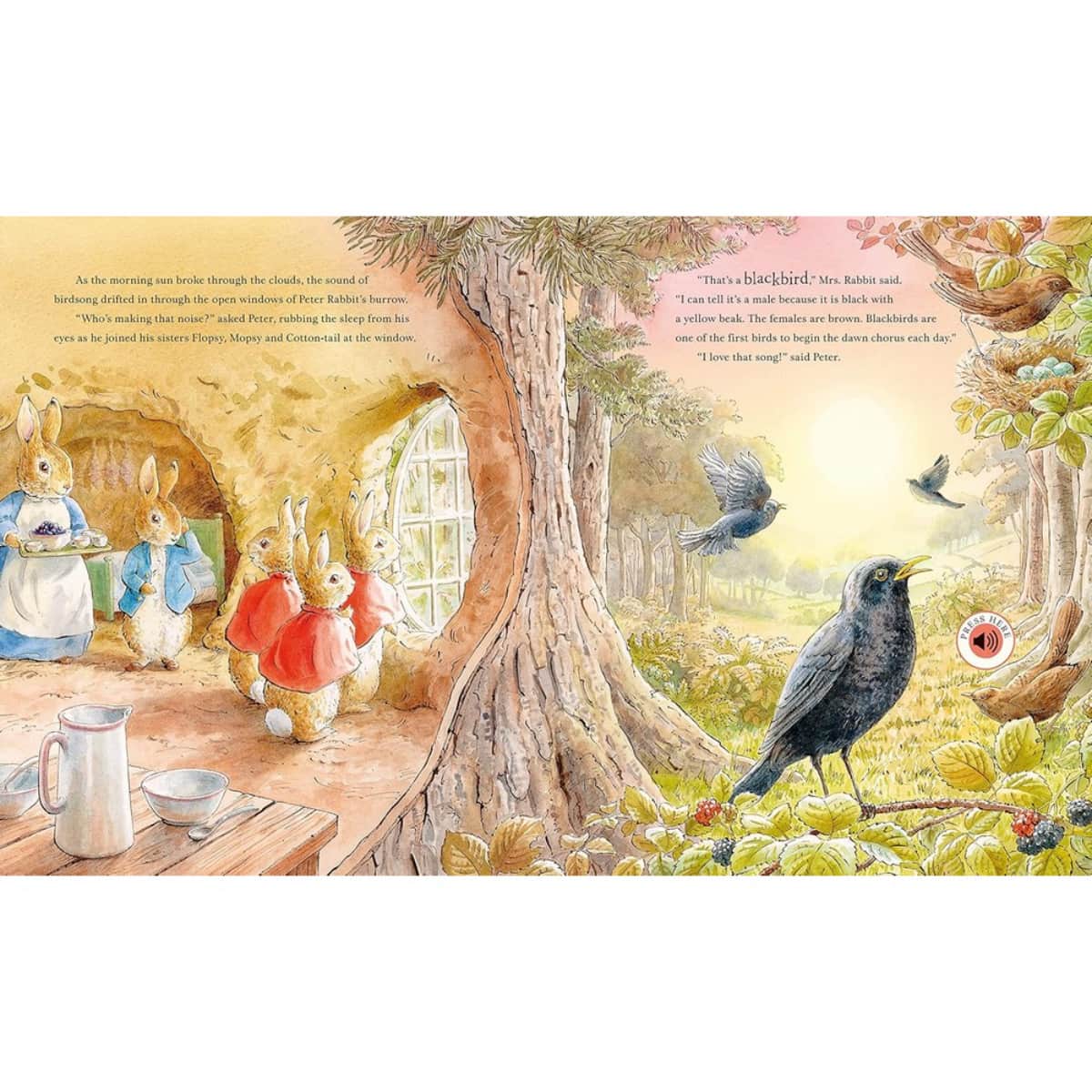 Peter Rabbit: جولة بيتر في الطبيعة: كتاب صوتي من تأليف بياتريكس بوتر - 9 فبراير 2023