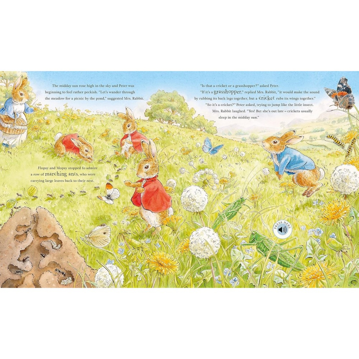 Peter Rabbit: جولة بيتر في الطبيعة: كتاب صوتي من تأليف بياتريكس بوتر - 9 فبراير 2023