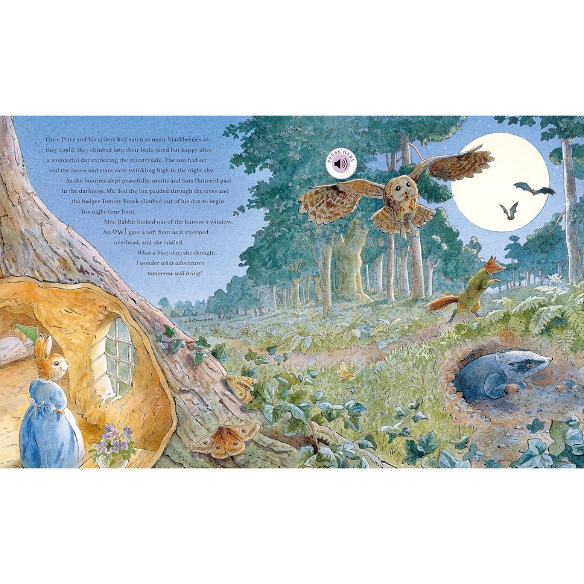 Peter Rabbit: جولة بيتر في الطبيعة: كتاب صوتي من تأليف بياتريكس بوتر - 9 فبراير 2023