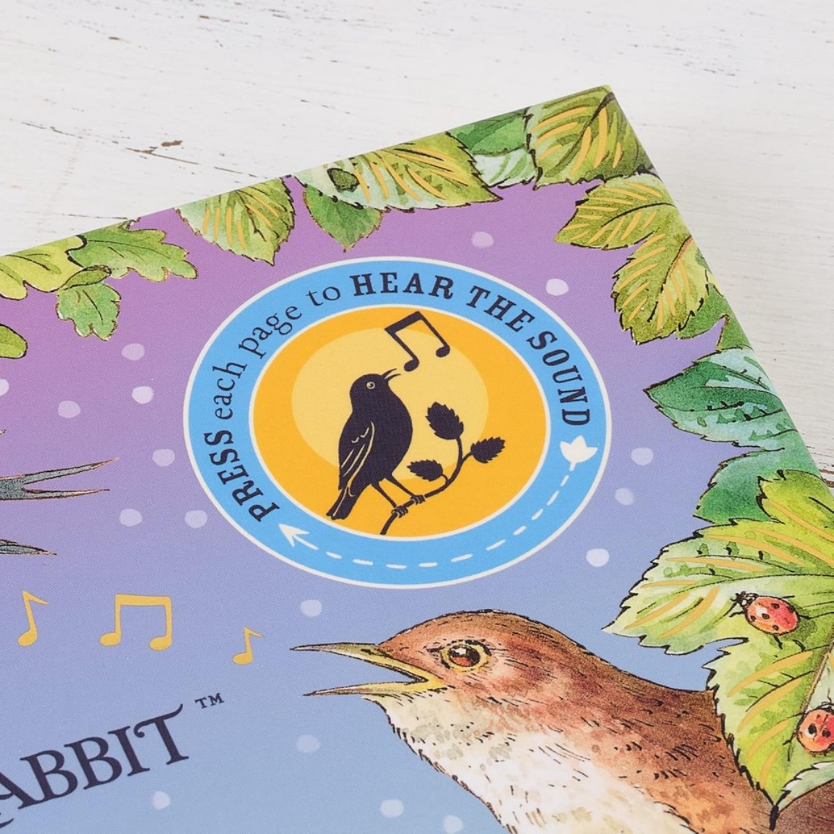 Peter Rabbit: جولة بيتر في الطبيعة: كتاب صوتي من تأليف بياتريكس بوتر - 9 فبراير 2023