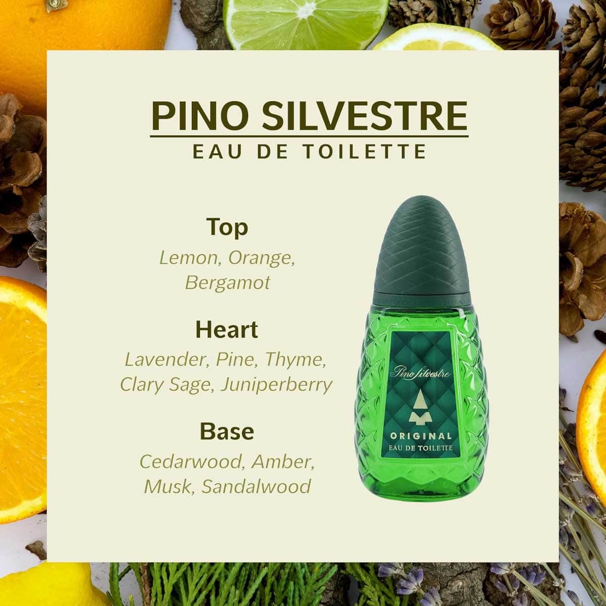 Pino Silvestre Original Eau De Toilette for Men