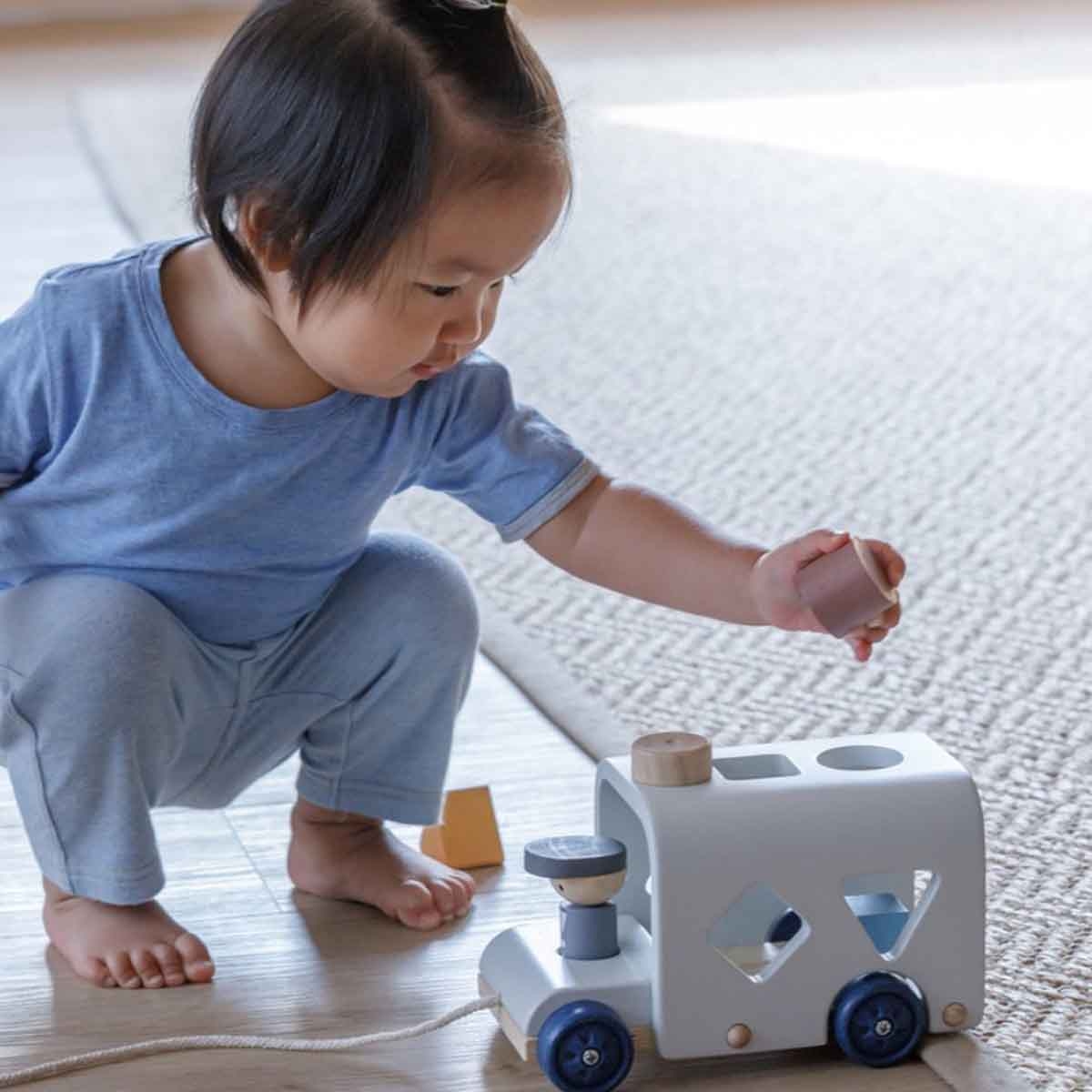 PlanToys Orchard Sorting Bus Game Unisex, 3-4 Years