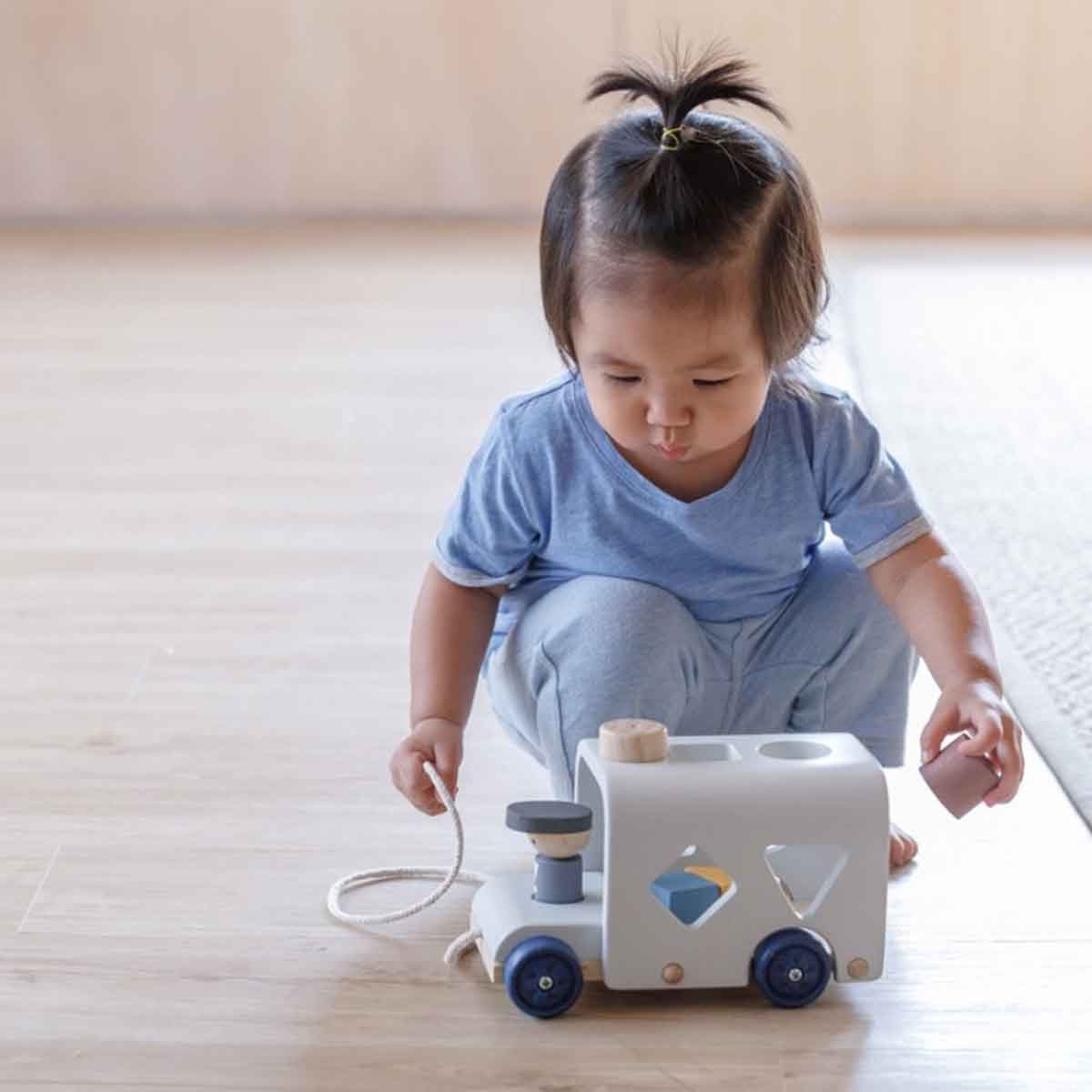 PlanToys Orchard Sorting Bus Game Unisex, 3-4 Years