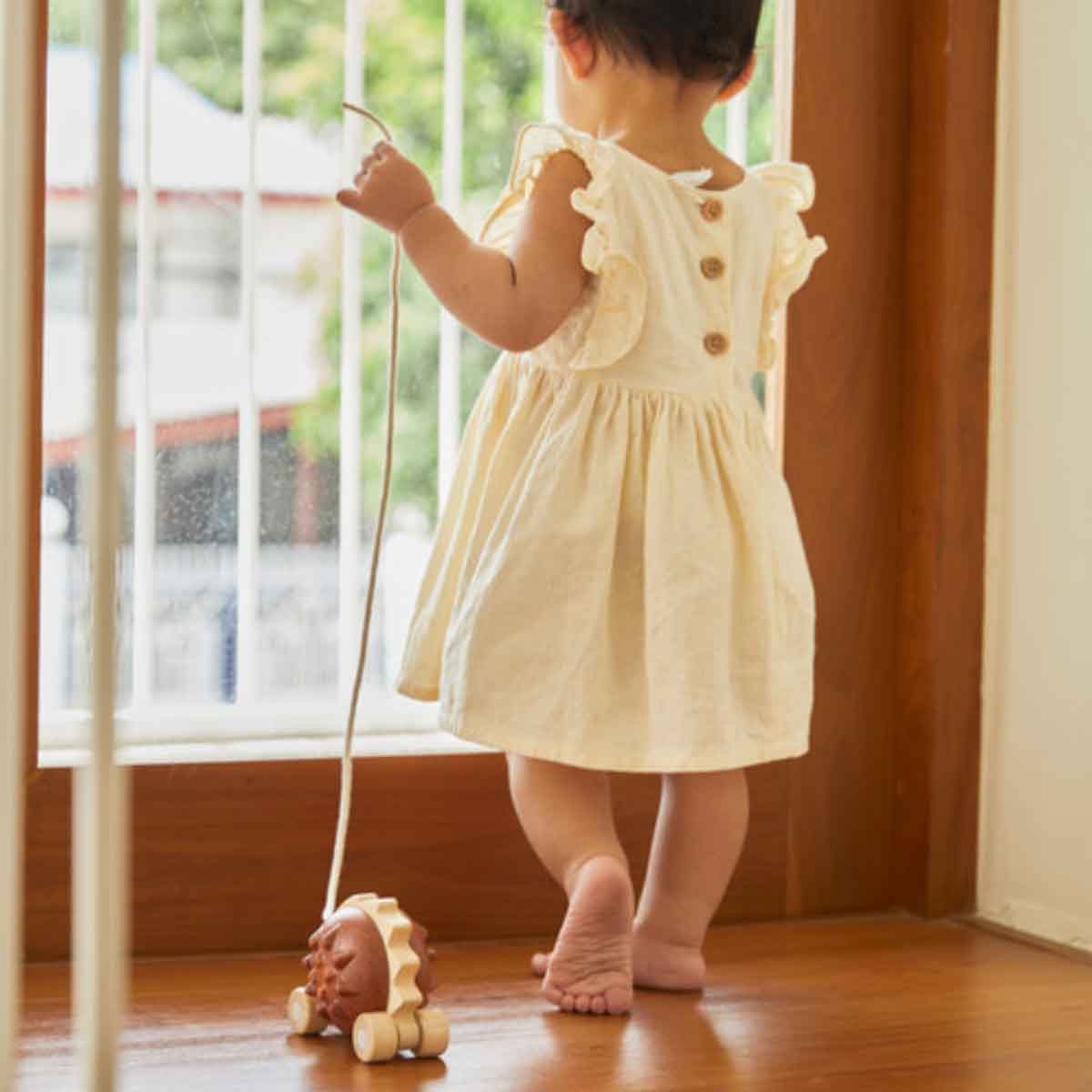 PlanToys Pull-Along Hedgehog Toy Toddler, 0-2 Years