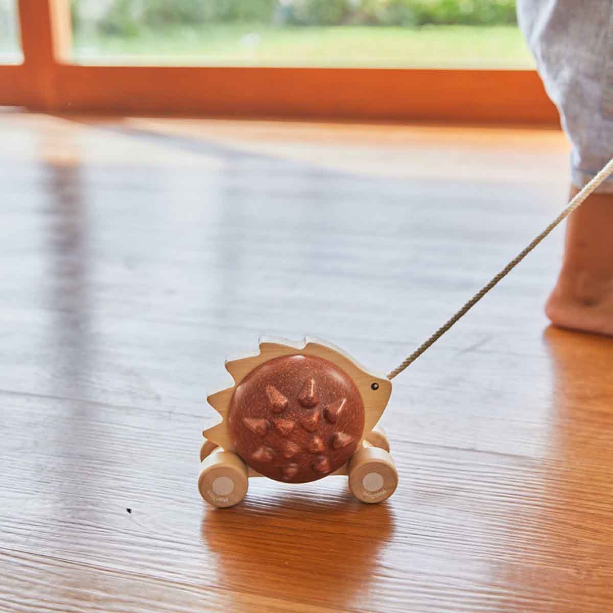 PlanToys Pull-Along Hedgehog Toy Toddler, 0-2 Years