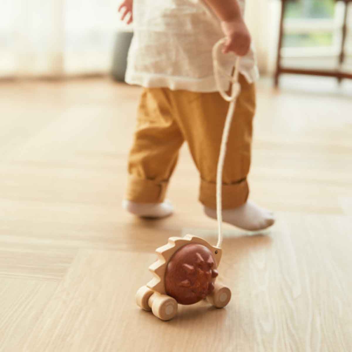 PlanToys Pull-Along Hedgehog Toy Toddler, 0-2 Years