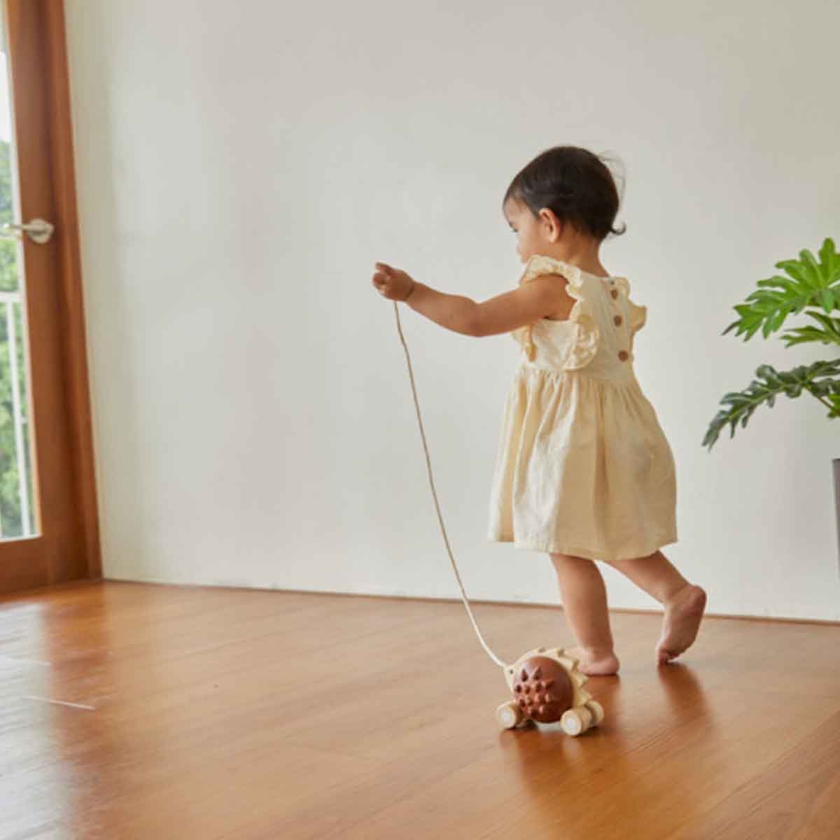 PlanToys Pull-Along Hedgehog Toy Toddler, 0-2 Years