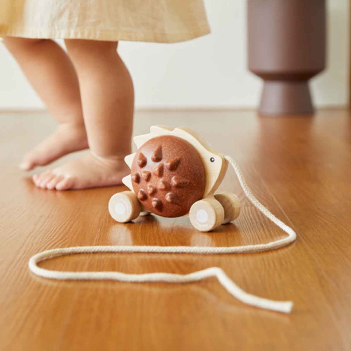 PlanToys Pull-Along Hedgehog Toy Toddler, 0-2 Years