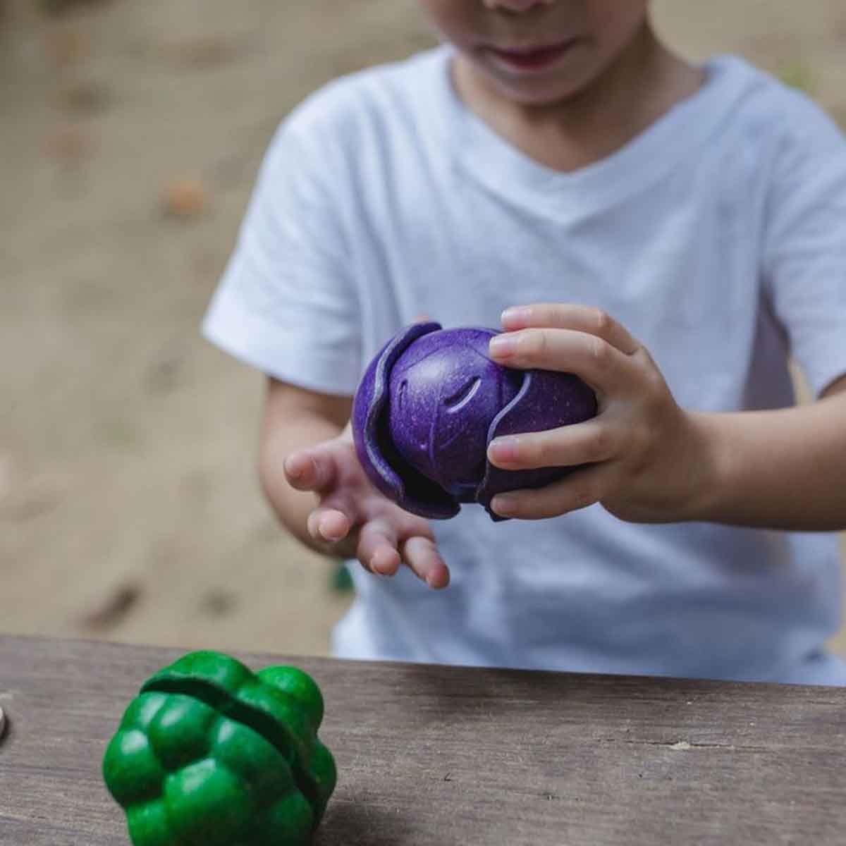 بلان تويز مجموعة خضروات خشبية بخمس ألوان، للجنسين، من عمر 3 إلى 4 سنوات