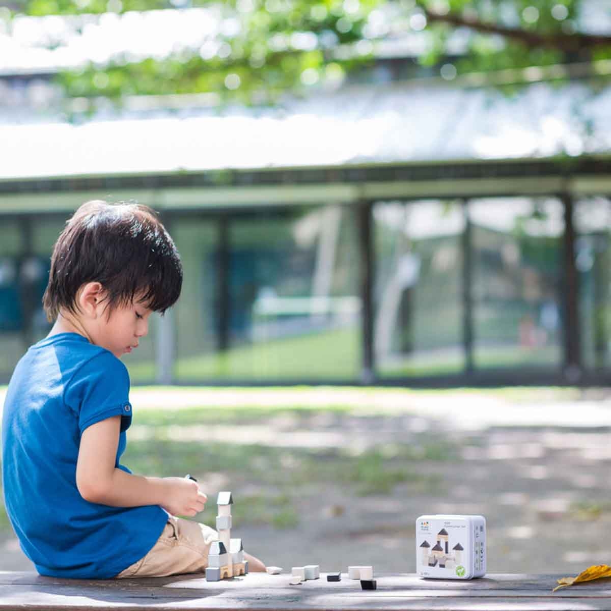 PlanToys Wooden Construction Set Unisex, 3-4 Years