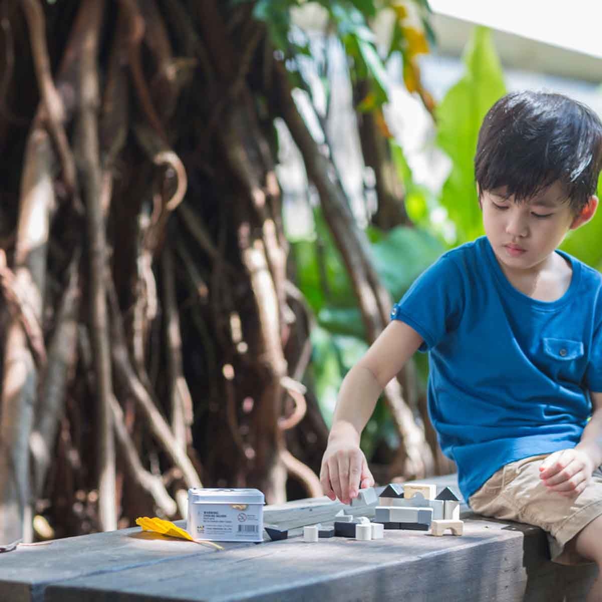 PlanToys Wooden Construction Set Unisex, 3-4 Years