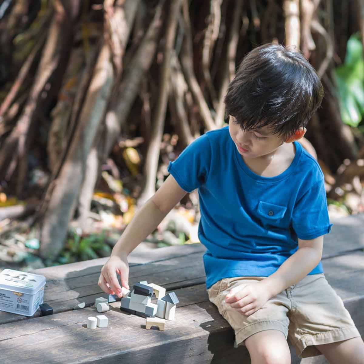 PlanToys Wooden Construction Set Unisex, 3-4 Years