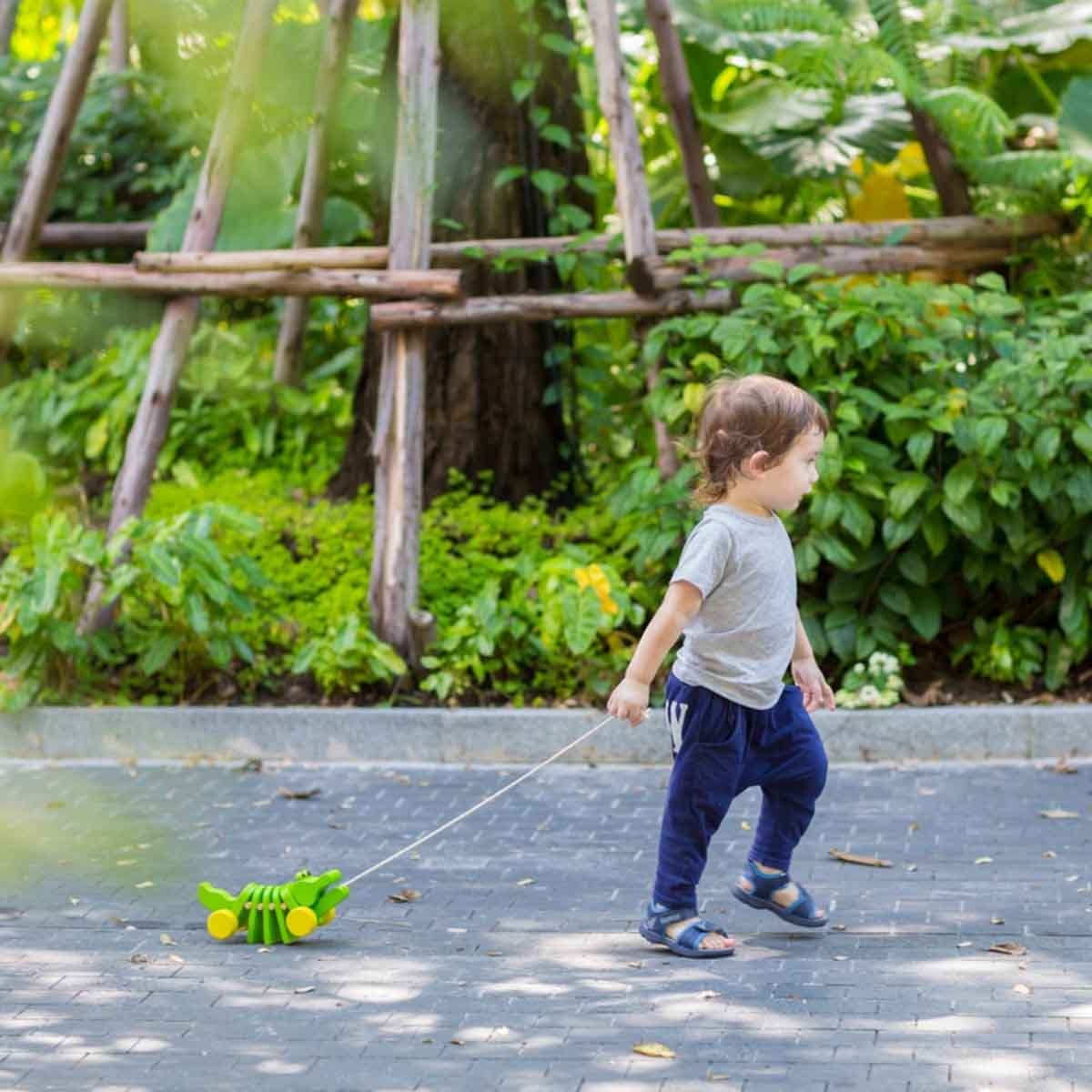 بلان تويز تمساح راقص خشبي قابل للسحب للأطفال الصغار 0 - 2 سنوات