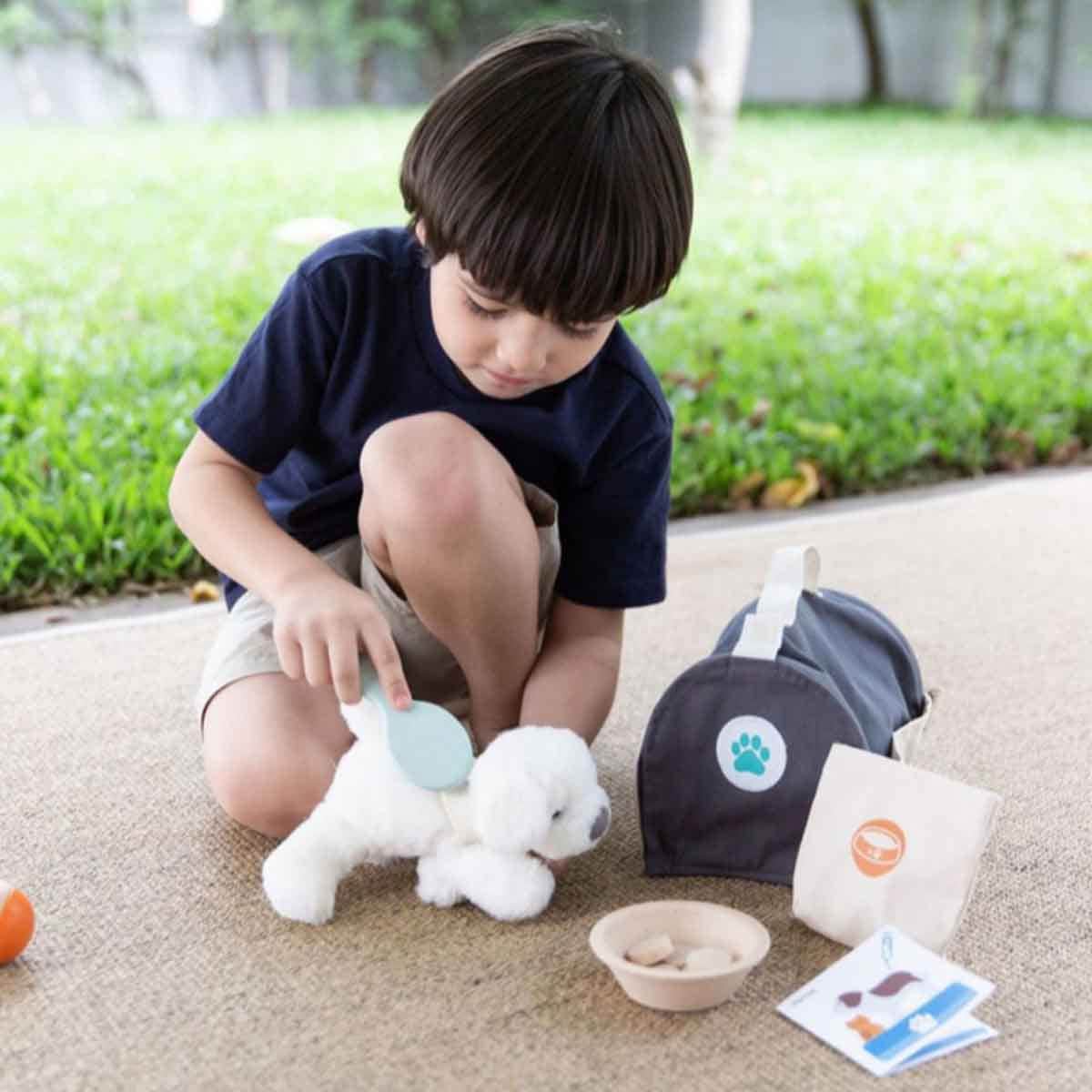 PlanToys Wooden Pet Care Set Unisex, 3-4 Years