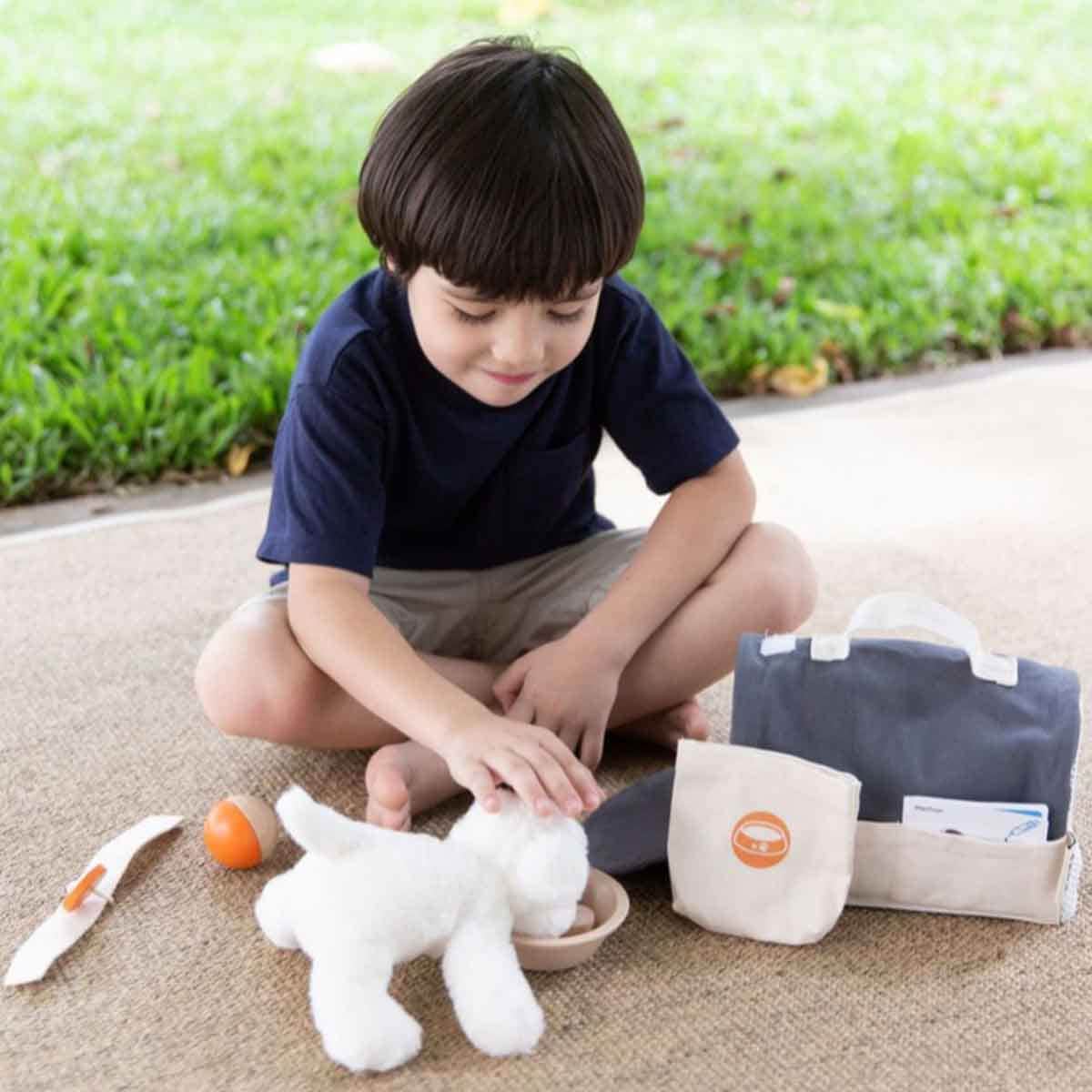 PlanToys Wooden Pet Care Set Unisex, 3-4 Years